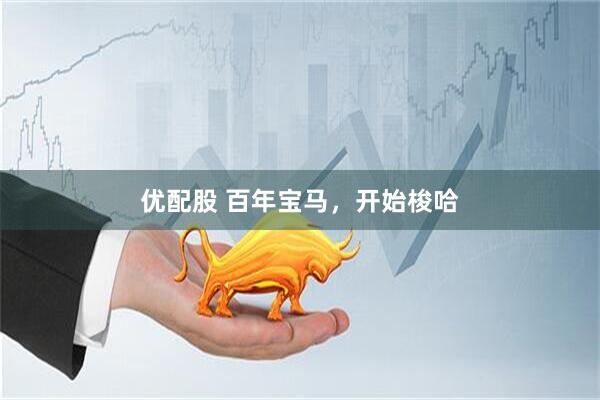 优配股 百年宝马，开始梭哈