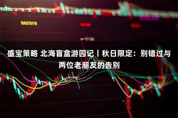盛宝策略 北海盲盒游园记丨秋日限定：别错过与两位老朋友的告别