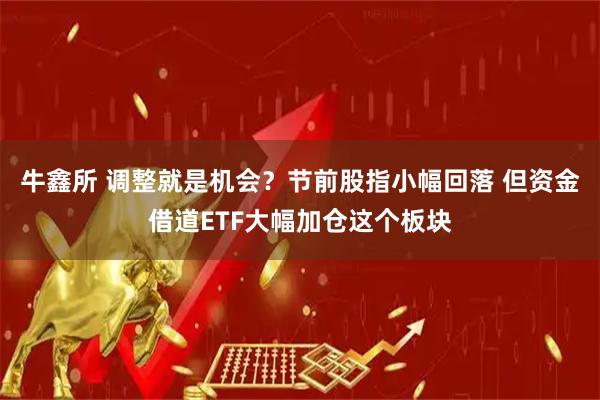 牛鑫所 调整就是机会？节前股指小幅回落 但资金借道ETF大幅加仓这个板块