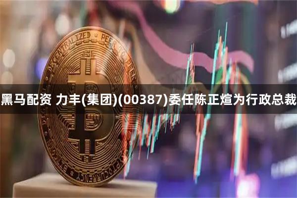 黑马配资 力丰(集团)(00387)委任陈正煊为行政总裁