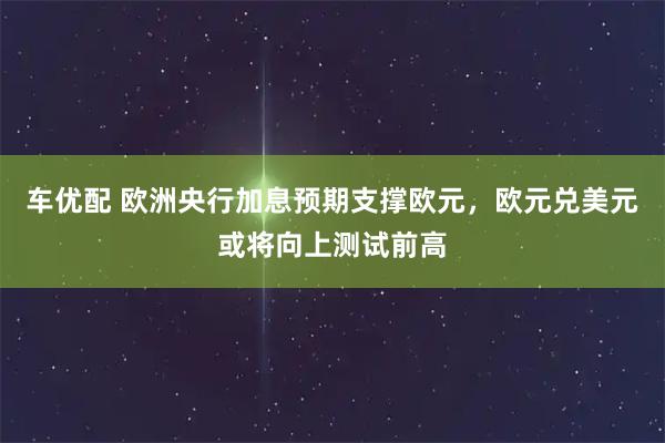 车优配 欧洲央行加息预期支撑欧元，欧元兑美元或将向上测试前高