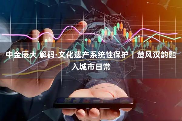 中金辰大 解码·文化遗产系统性保护｜楚风汉韵融入城市日常